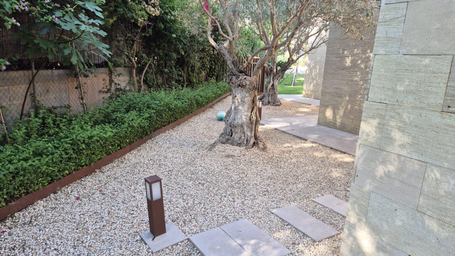 Creación de espacios de sombra con plantas ornamentales y paisajismo en Mallorca