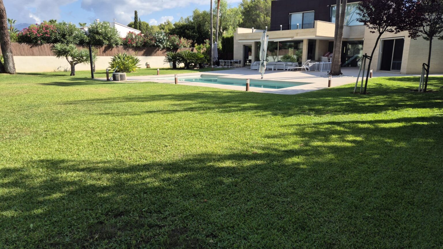 Selección de plantas con flores de temporada para diseño y decoración de jardines mediterráneos
