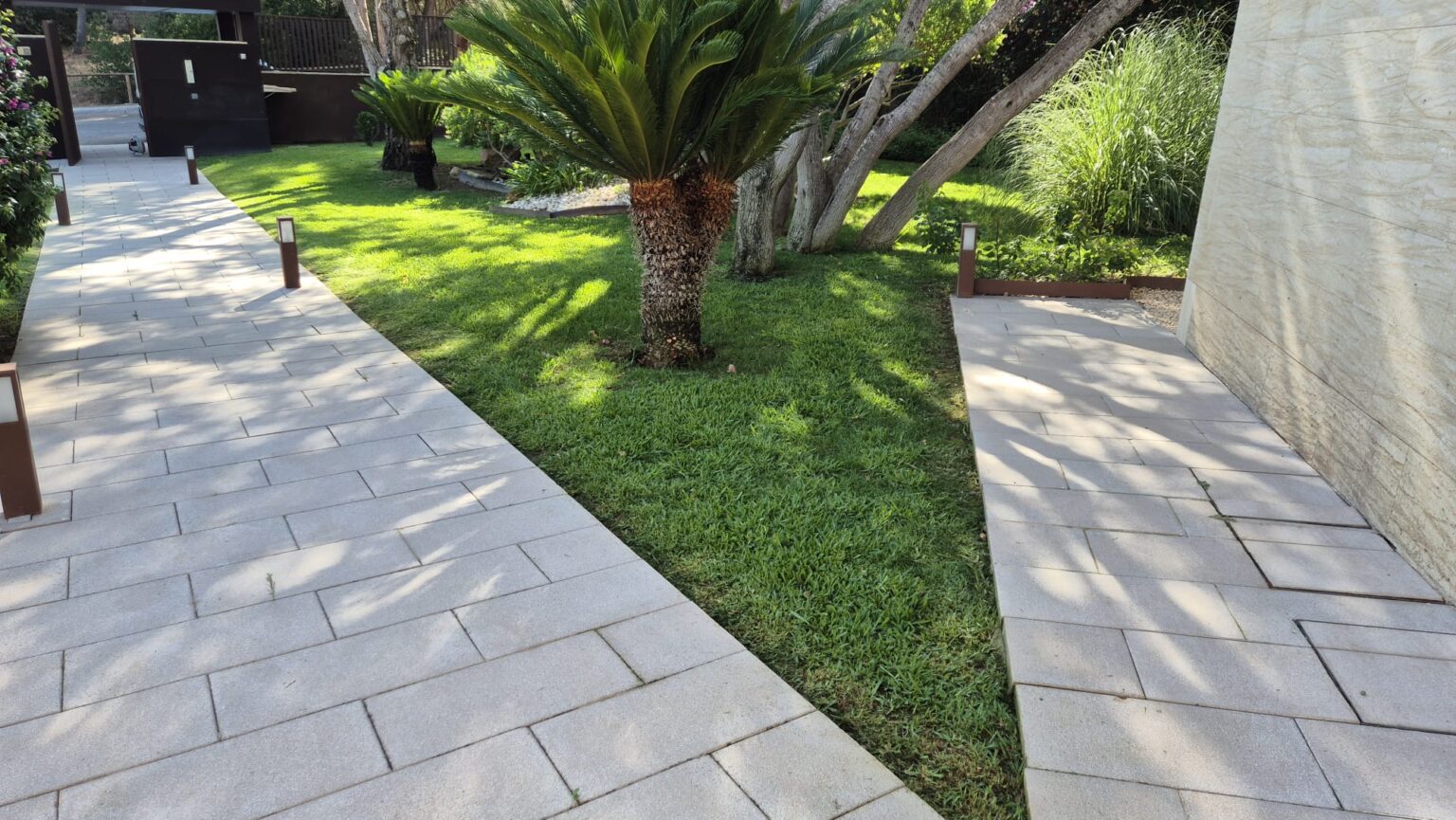 Reducción de copa de árbol para proteger la estructura de la vivienda y ganar luz natural