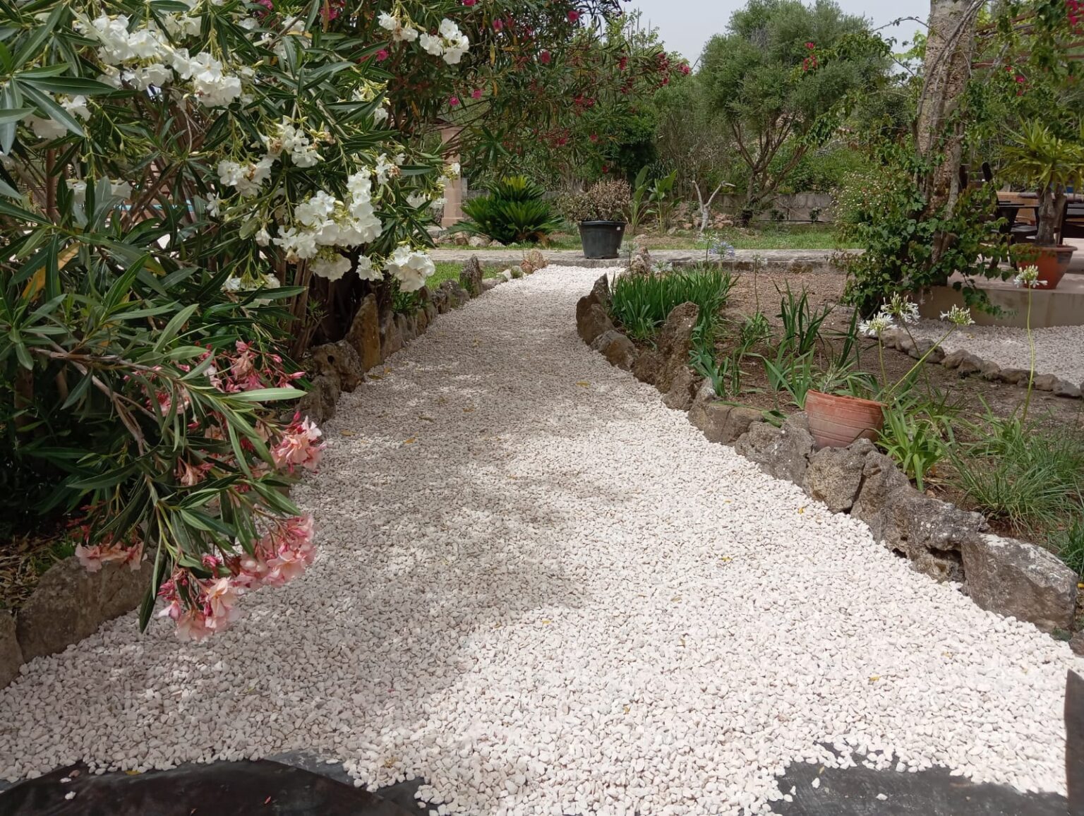 Jardín renovado en Mallorca con césped perfecto y zonas verdes ordenadas tras el diseño