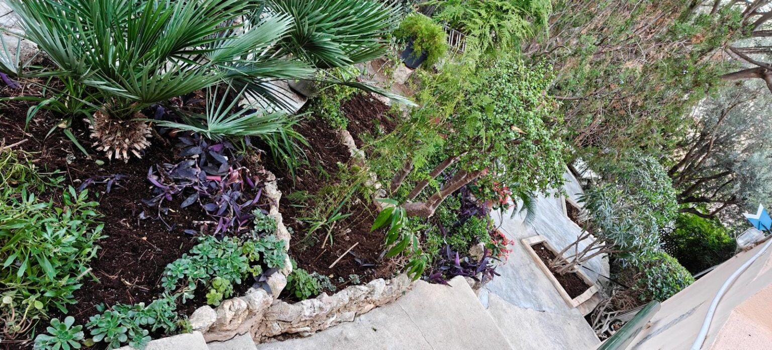 Técnicos en jardinería con más de 20 años de experiencia en el cuidado de exteriores en Mallorca