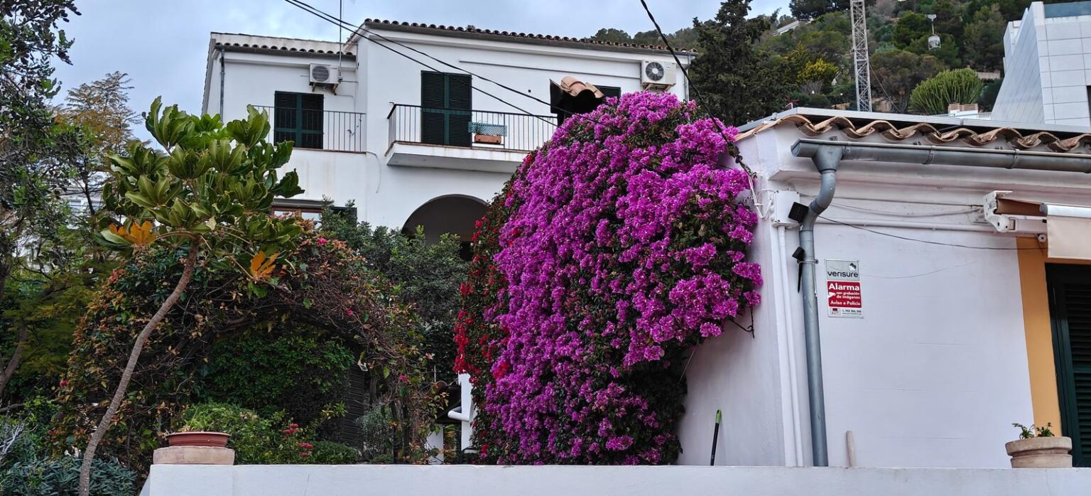 Herramientas profesionales de una empresa de jardinería en Mallorca comprometida con la calidad