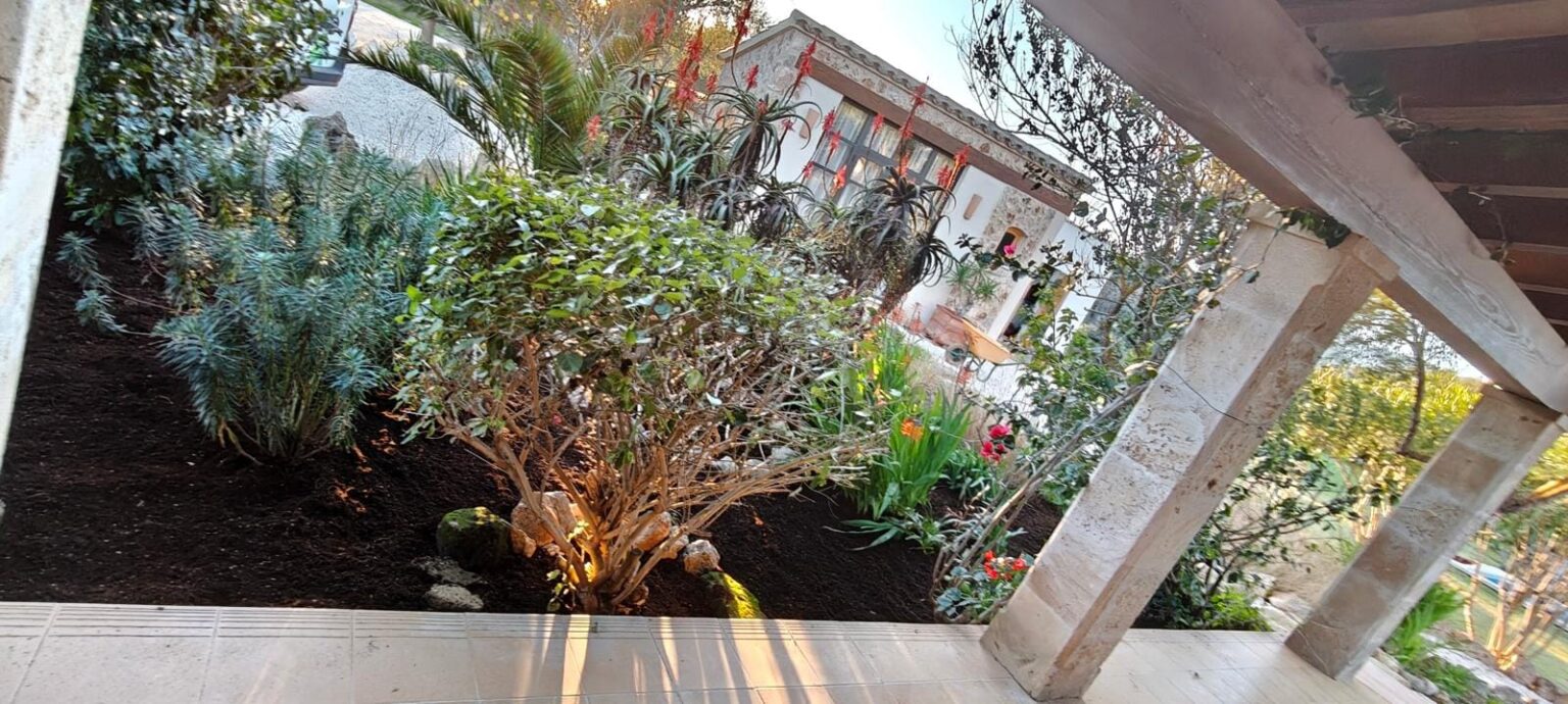Planificación y asesoramiento personalizado para la decoración de jardines en Mallorca